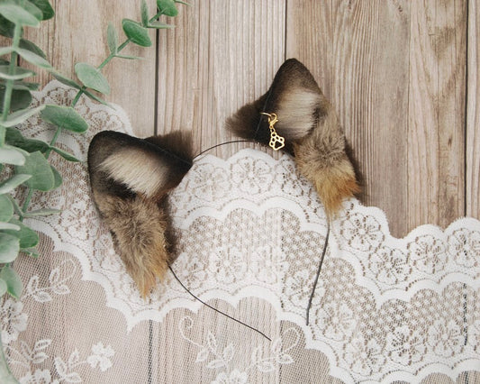 *BEST OFFER WINNER CONTACTED* Little Wolf Pup