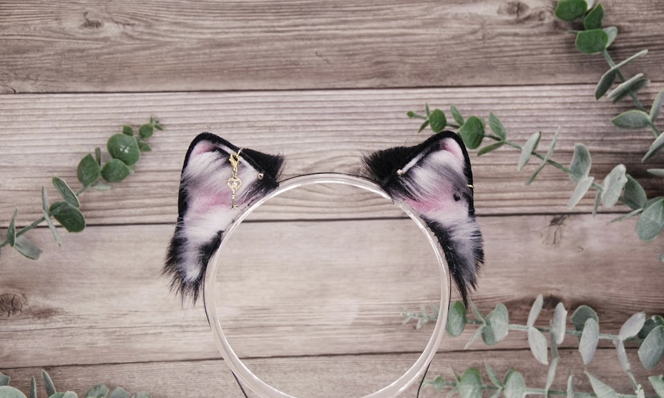 Spotted Tuxedo Kitten A