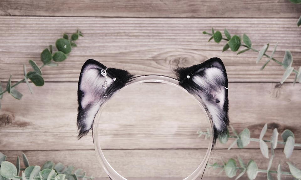 Spotted Tuxedo Kitten B