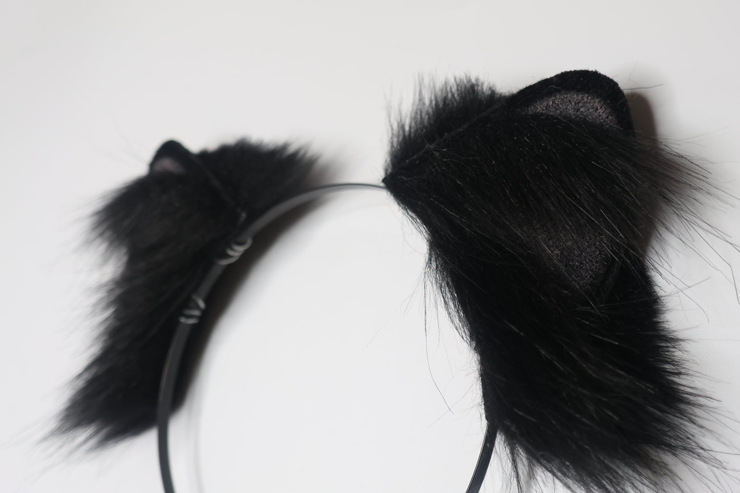 Black Kitten