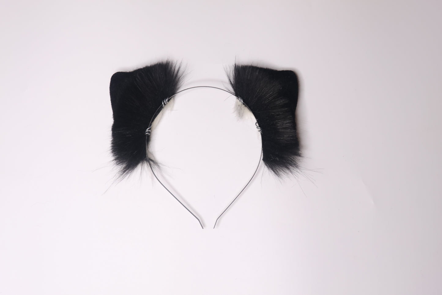 Tuxedo Kitten 1
