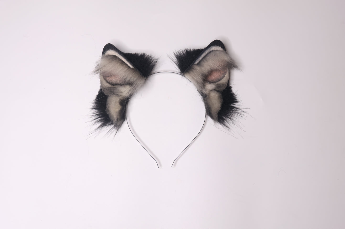 Canine 1