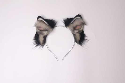 Canine 1