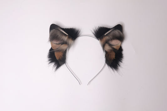 Canine 2