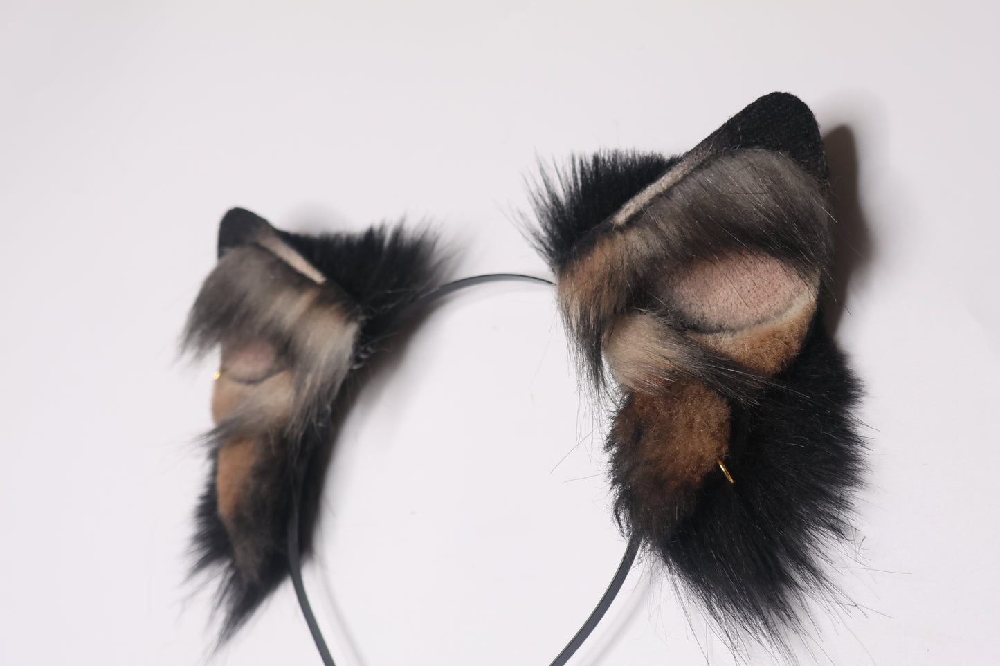 Canine 2