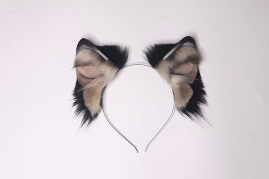Canine 3