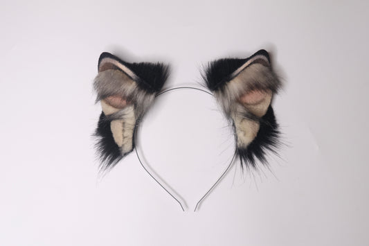 Canine 4