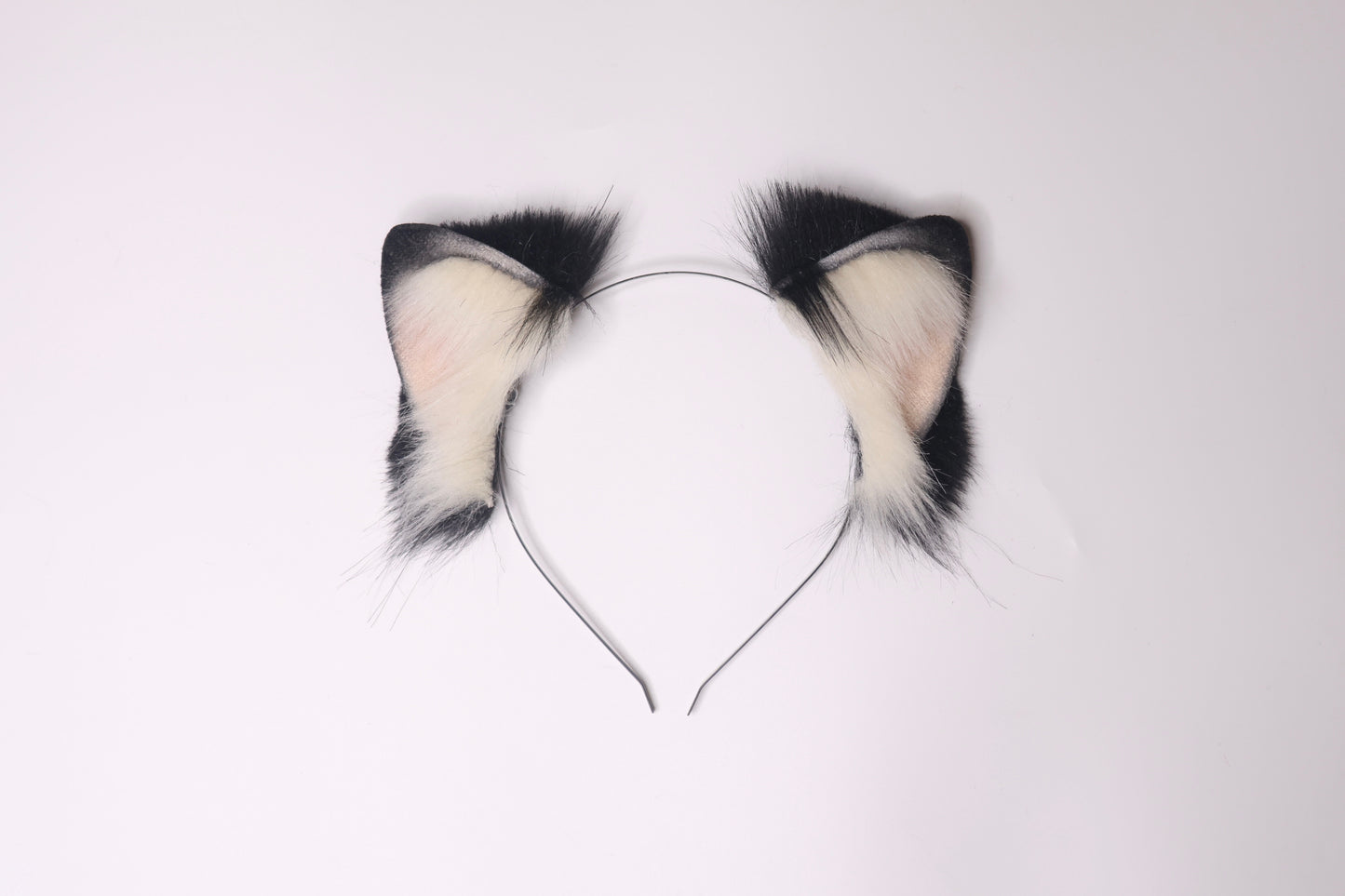 Tuxedo Kitten 1