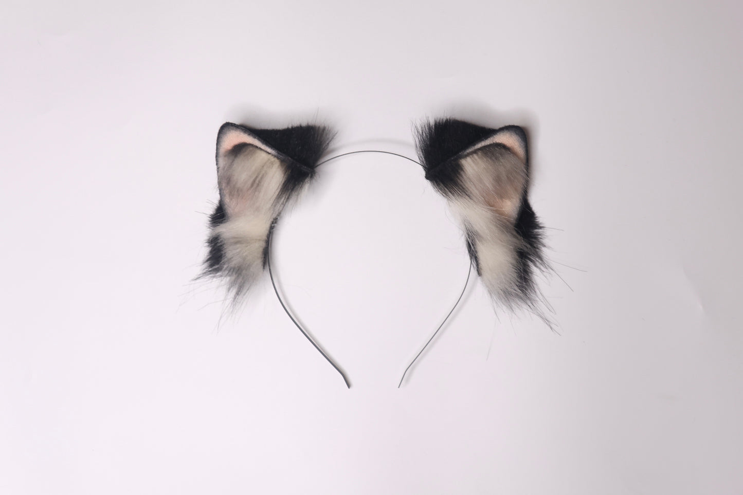 Tuxedo Kitten 2