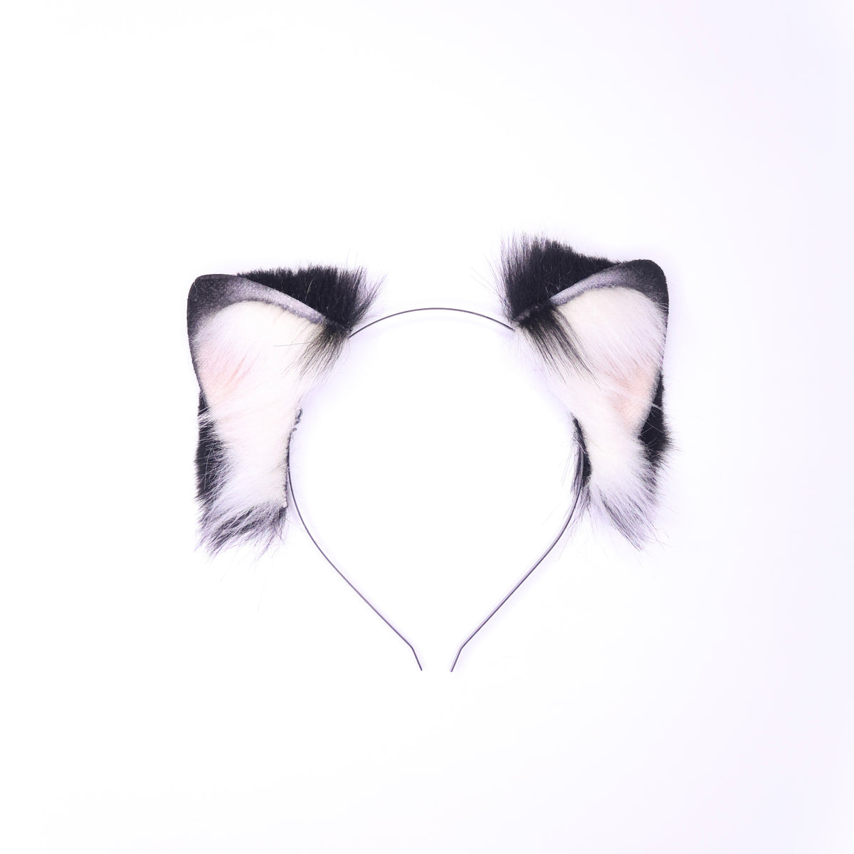 Tuxedo Kitten 1