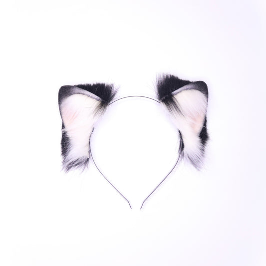 Tuxedo Kitten 1